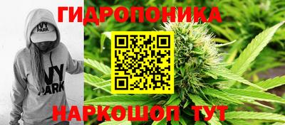 spice Камышлов