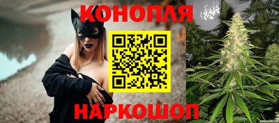 spice Камышлов